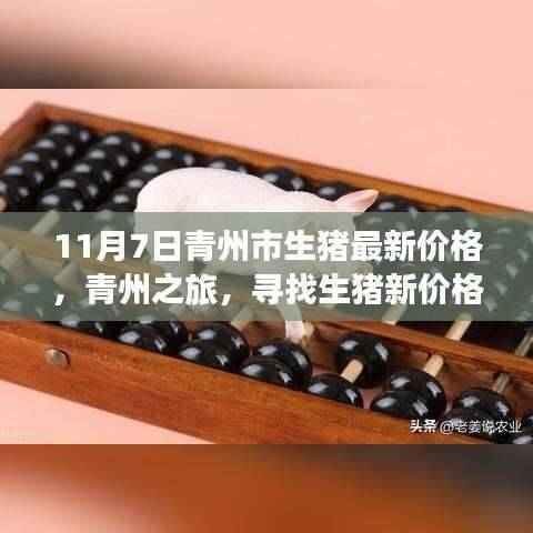青州之旅,探寻生猪最新价格与心灵自然的和谐乐章(11月7日)