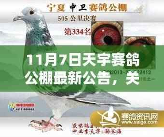 关于最新天宇赛鸽公棚公告的详细介绍,最新公告发布及内容概览