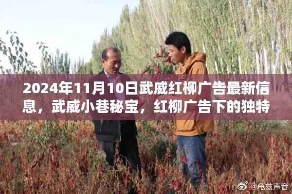 武威红柳广告最新动态，小巷秘宝探秘之旅（2024年11月）