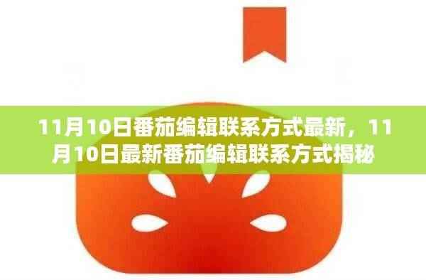 揭秘最新番茄编辑联系方式，11月10日更新版