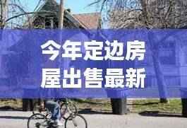 今年定边房屋出售最新消息，小巷深处的宝藏与特色小店故事探秘