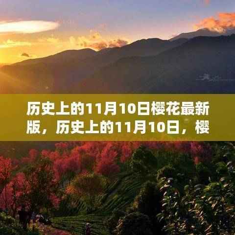 历史上的11月10日樱花最新版深度测评与介绍