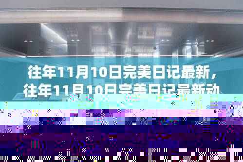 往年11月10日完美日记最新动态，时尚美妆界的璀璨瞬间回顾