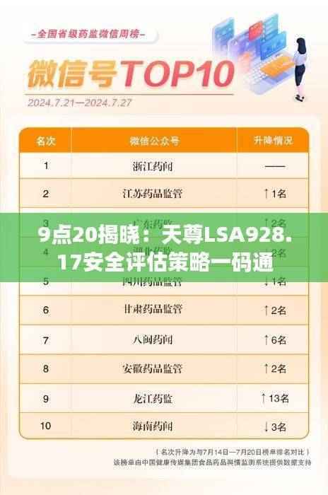 9点20揭晓：天尊LSA928.17安全评估策略一码通