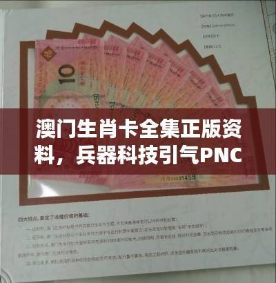 澳门生肖卡全集正版资料，兵器科技引气PNC155.64