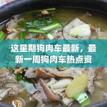 最新狗肉车热点资讯，行业趋势深度解读与热点探讨