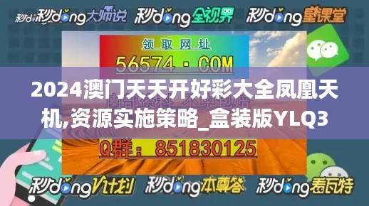 2024澳门天天开好彩大全凤凰天机,资源实施策略_盒装版YLQ386.04