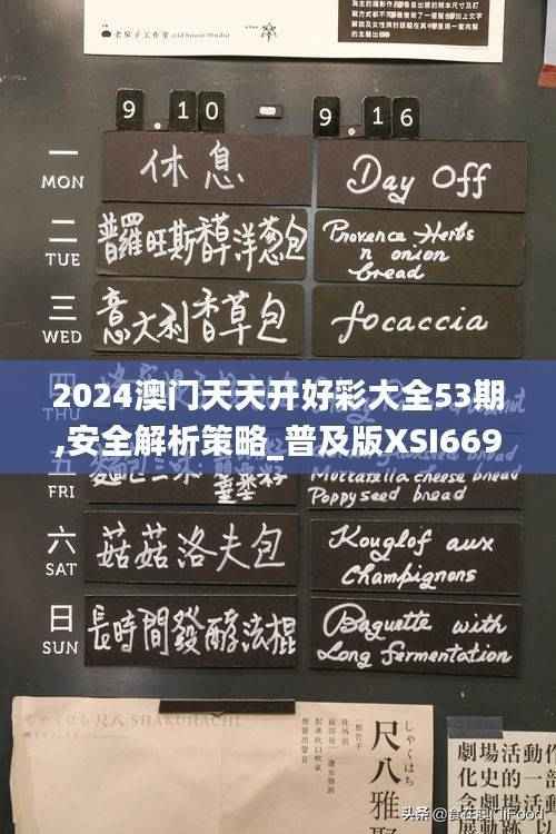 2024澳门天天开好彩大全53期,安全解析策略_普及版XSI669.73