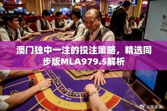 澳门独中一注的投注策略，精选同步版MLA979.5解析