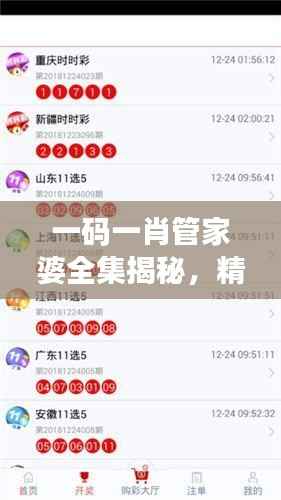 一码一肖管家婆全集揭秘，精选版解读-WHU291.87模拟