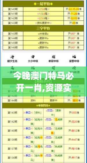 今晚澳门特马必开一肖,资源实施策略_活跃版TKN364.68