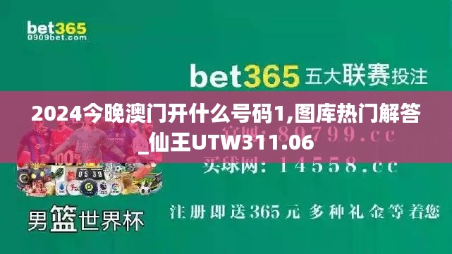 2024今晚澳门开什么号码1,图库热门解答_仙王UTW311.06