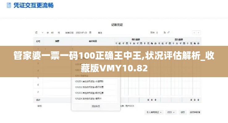 管家婆一票一码100正确王中王,状况评估解析_收藏版VMY10.82