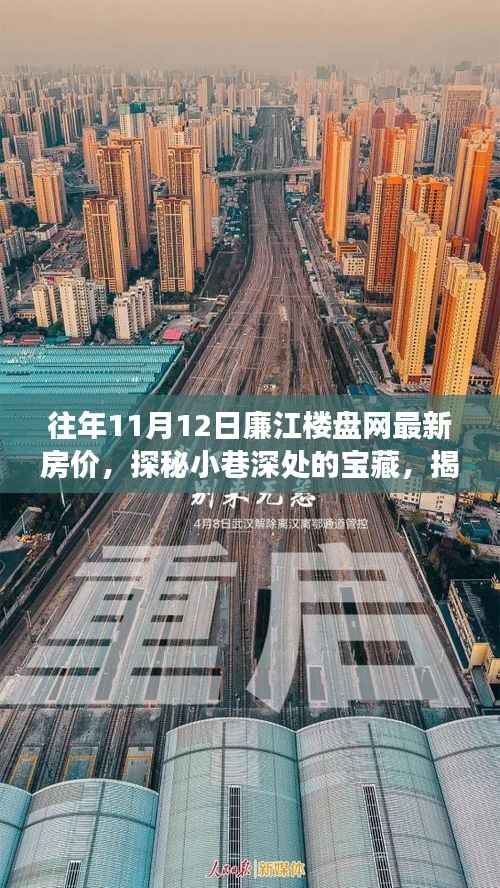 探秘廉江楼盘网最新房价与独特小店的冬日故事，揭秘小巷深处的宝藏房源动态