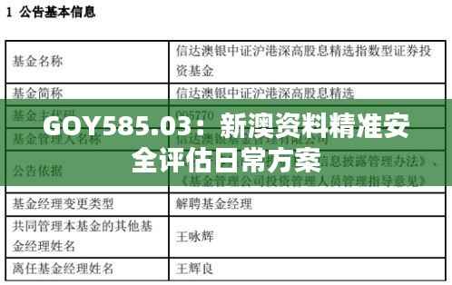 GOY585.03：新澳资料精准安全评估日常方案