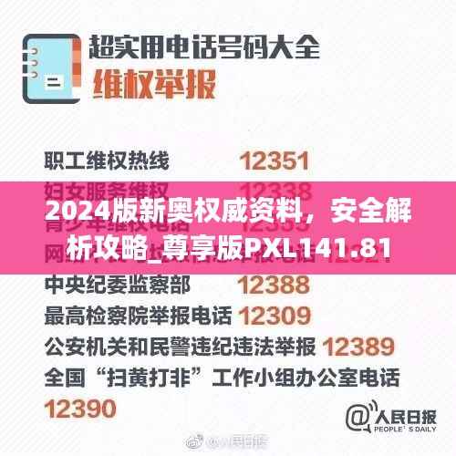 2024版新奥权威资料,安全解析攻略_尊享版PXL141.81