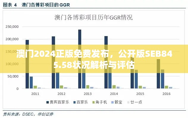 澳门2024正版免费发布,公开版SEB845.58状况解析与评估