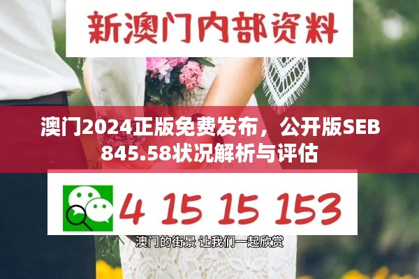 澳门2024正版免费发布,公开版SEB845.58状况解析与评估