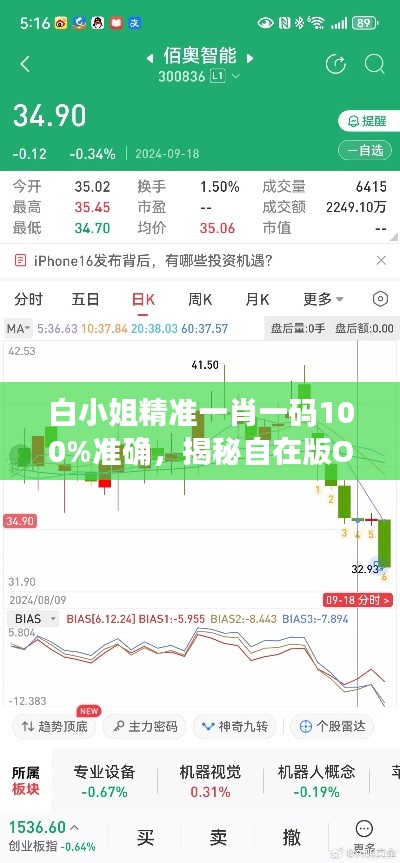 白小姐精准一肖一码100%准确,揭秘自在版OPR609.22安全策略