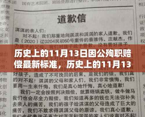 历史上的11月13日因公殉职赔偿最新标准解析与深度探讨