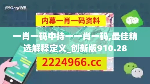 一肖一码中持一一肖一码,最佳精选解释定义_创新版910.28