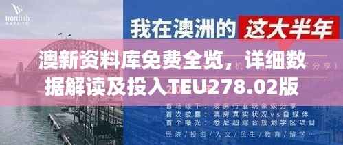 澳新资料库免费全览,详细数据解读及投入TEU278.02版