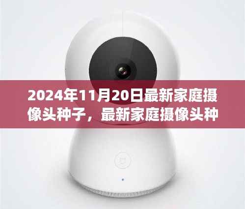 最新家庭摄像头种子解析,利弊与个人立场探讨