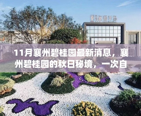 襄州碧桂园秋日秘境,自然美景的心灵之旅最新消息揭秘