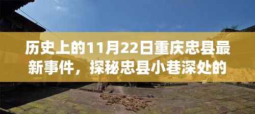 忠县小巷美食盛宴，历史与味蕾的双重体验——11月22日最新事件揭秘