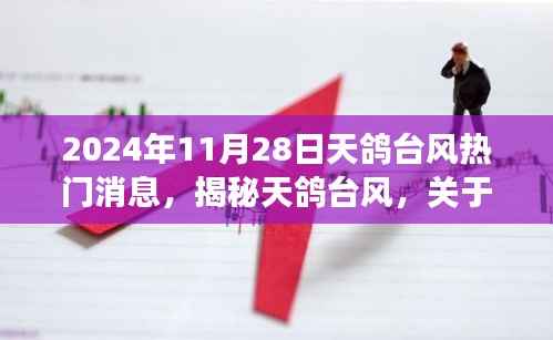 揭秘天鸽台风，深度解读即将到来的2024年11月28日热门消息与动态