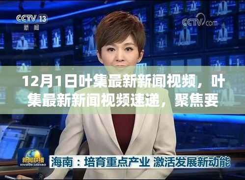 叶集最新新闻视频速递,聚焦时事动态,洞悉12月1日要点