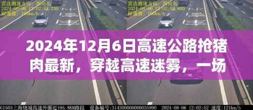 穿越高速迷雾，探寻猪肉之旅的心灵宁静与最新动态