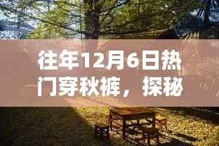 揭秘隐藏时尚秘境,秋裤秘境探索与时尚秋裤小店的发现之旅