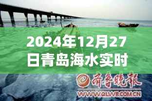 探秘海域新纪元,青岛海水智能监测器实时掌握海水温度的秘密(XXXX年青岛海水温度报告)