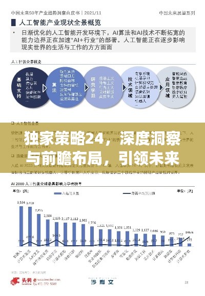 独家策略24,深度洞察与前瞻布局,引领未来之路新方向