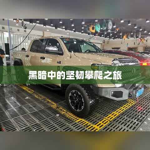 shengruhongzhong 第5页