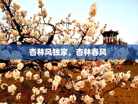 杏林风独家，杏林春风 