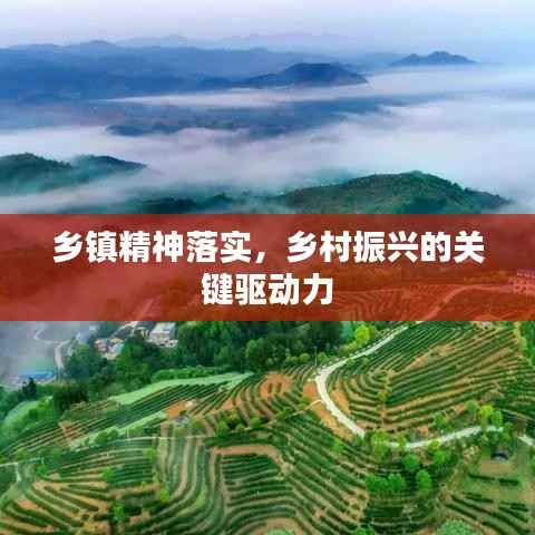 乡镇精神落实，乡村振兴的关键驱动力