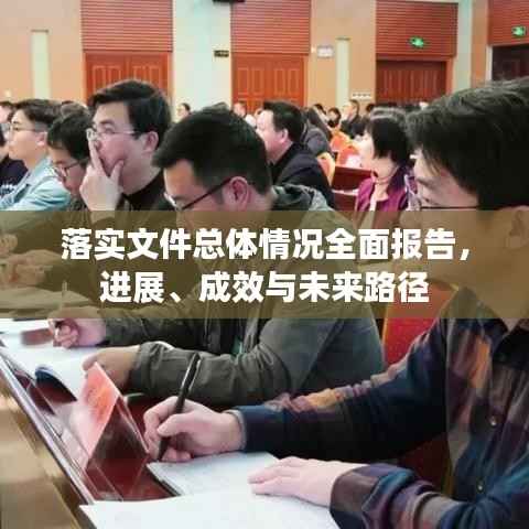 落实文件总体情况全面报告，进展、成效与未来路径