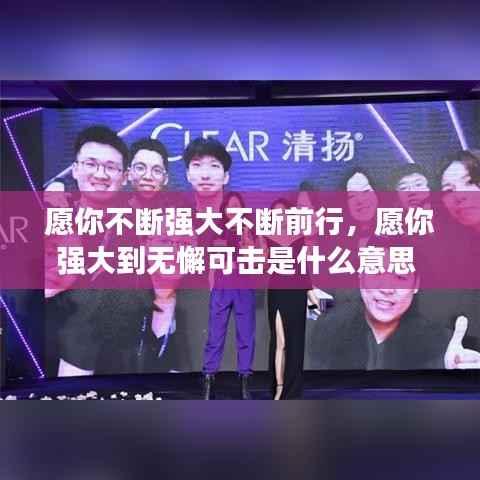 愿你不断强大不断前行,愿你强大到无懈可击是什么意思