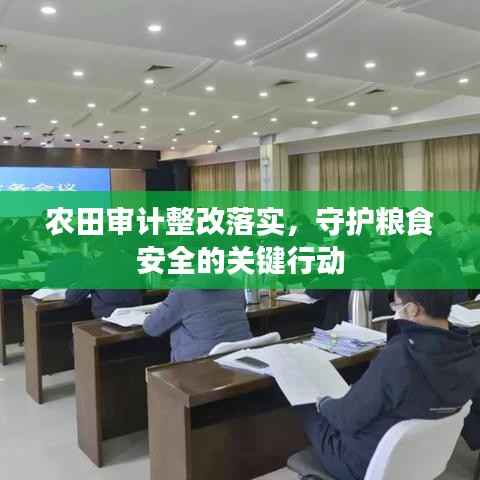 农田审计整改落实,守护粮食安全的关键行动