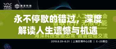 永不停歇的错过,深度解读人生遗憾与机遇