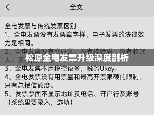 松原全电发票升级深度剖析