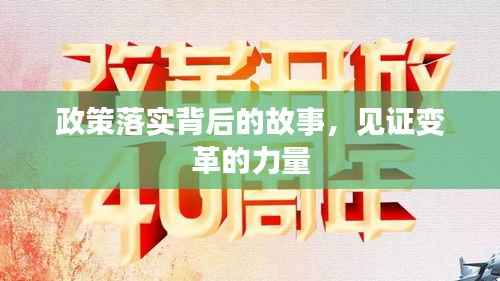 政策落实背后的故事，见证变革的力量