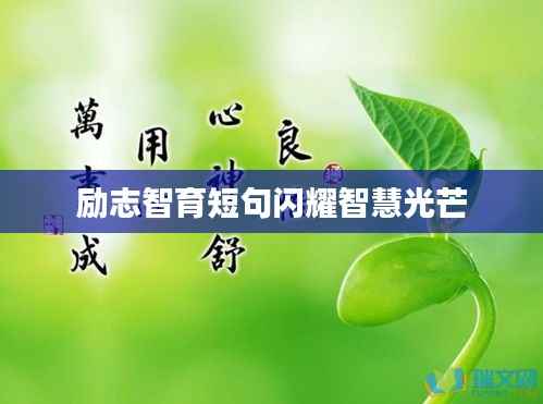 励志智育短句闪耀智慧光芒
