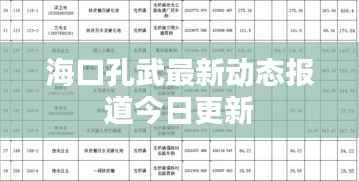 海口孔武最新动态报道今日更新