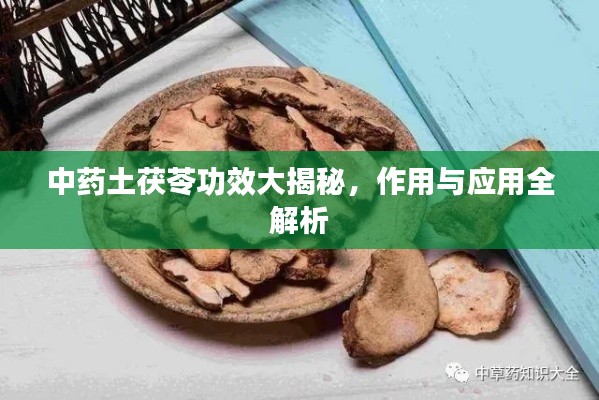 中药土茯苓功效大揭秘,作用与应用全解析