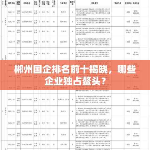 郴州国企排名前十揭晓,哪些企业独占鳌头?