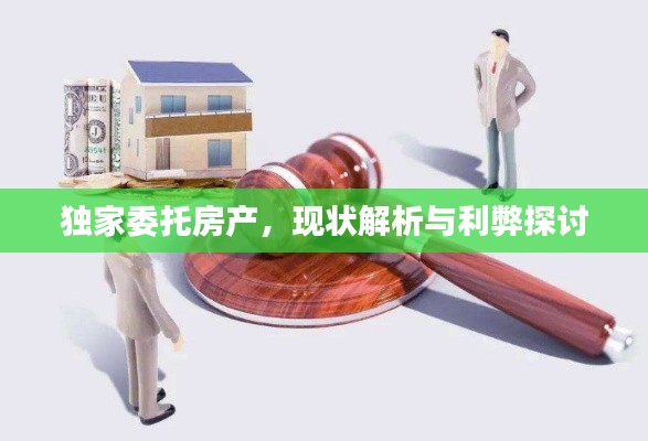 独家委托房产,现状解析与利弊探讨