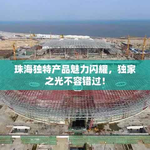 珠海独特产品魅力闪耀,独家之光不容错过!